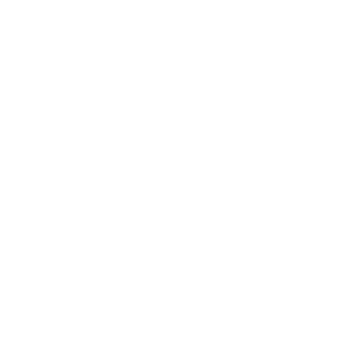 Ikona 2